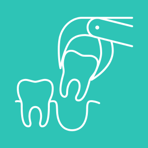Pediatric dentist services in Delhi for children’s oral health