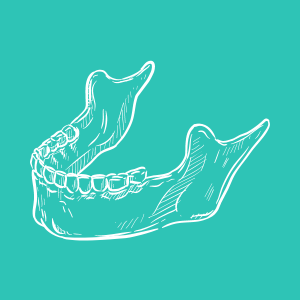 Emergency and family dentist in Delhi for oral health needs